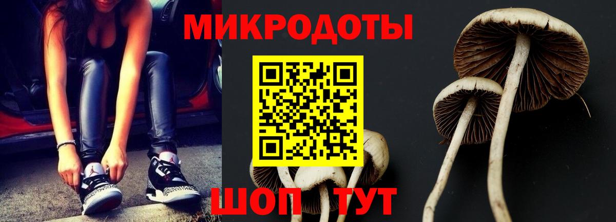 Псилоцибиновые грибы прущие грибы  Вход с VPN  Спасск-Дальний  хочу наркоту  Псилоцибиновые грибы Magic Shrooms 